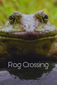 Frog Crossing 1996 on netflix