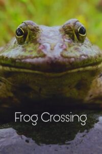 Frog Crossing 1996 on netflix