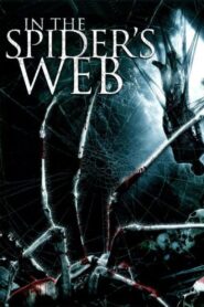 In the Spider’s Web 2007 on netflix