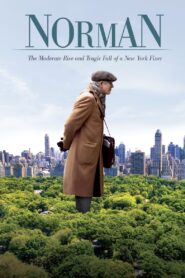 Norman: The Moderate Rise and Tragic Fall of a New York Fixer 2016 on netflix
