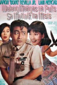 Walang Matigas na Pulis sa Matinik na Misis 1994 on netflix
