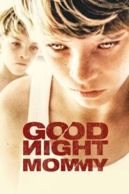 Goodnight Mommy 2015 on netflix