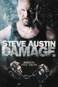 Damage 2009 on netflix