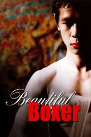 Beautiful Boxer 2003 on netflix