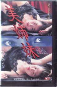 Beautiful Sisters 1995 on netflix
