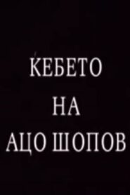 The Blanket of Aco Shopov 1996 on netflix