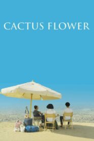 Cactus Flower 2017 on netflix