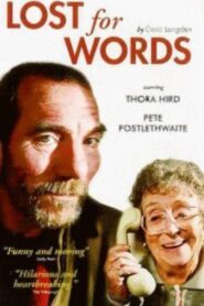 Lost for Words 1999 on netflix
