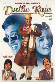 Dulhe Raja 1998 on netflix