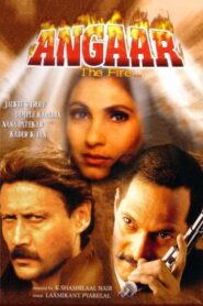 Angaar 1992 on netflix