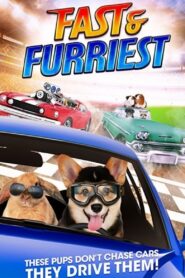 Fast and Furriest 2017 on netflix
