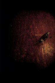 Knife Point 2009 on netflix