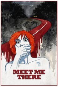 Meet Me There 2014 on netflix