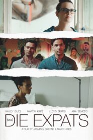 die Expats 2018 on netflix