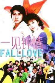 Fall in Love at First Sight 2002 on netflix