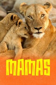 Mamas 2022 on netflix