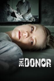 Final Sale 2011 on netflix