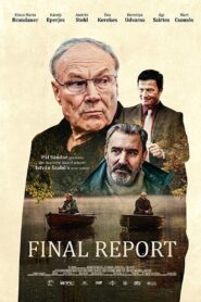 Final Report 2020 on netflix