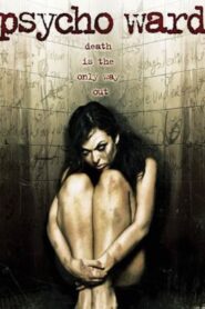 Psycho Ward 2007 on netflix