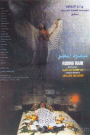 Rising Rain 1995 on netflix