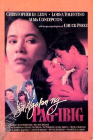 In the Name of Love 1995 on netflix