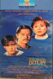 One and Only Star 1994 on netflix