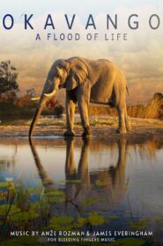 Okavango: A Flood of Life 2021 on netflix
