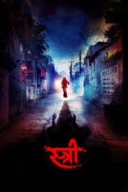 Stree 2018 on netflix