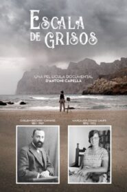 Escala de grisos 2021 on netflix