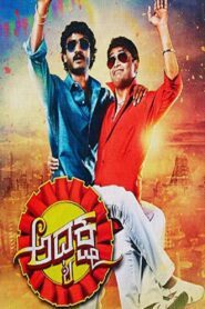 Adhyaksha 2014 on netflix