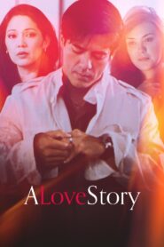 A Love Story 2007 on netflix