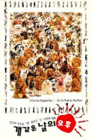 A Hot Roof 1995 on netflix