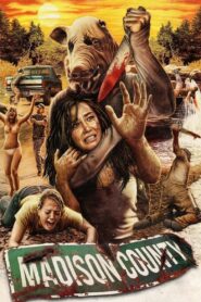 Madison County 2011 on netflix