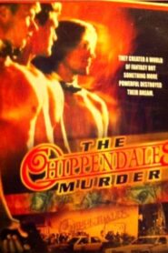 The Chippendales Murder 2000 on netflix