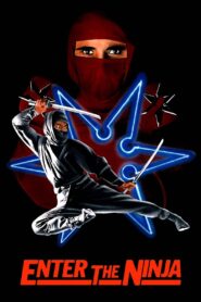 Enter the Ninja 1981 on netflix