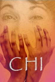 Chi 2013 on netflix