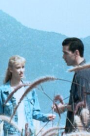 Internet Love 1998 on netflix