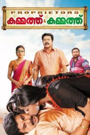 Proprietors: Kammath & Kammath 2013 on netflix