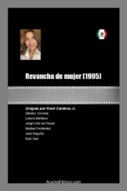 A Woman’s Revenge 1995 on netflix