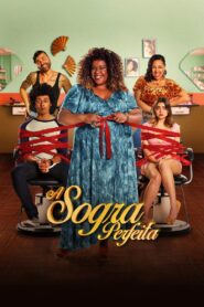 A Sogra Perfeita 2020 on netflix