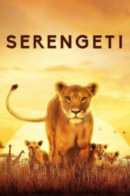 Serengeti 2019 on netflix