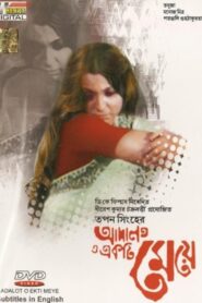 The Law and a Lady 1982 on netflix