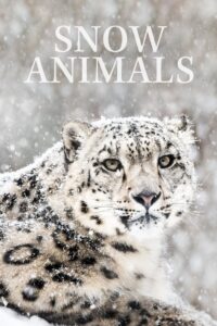 Snow Animals 2019 on netflix