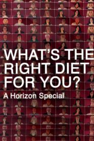 What’s the Right Diet for You? A Horizon Special 2015 on netflix