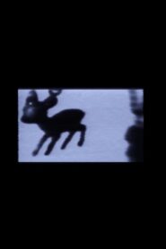 Where’s Bambi? 2012 on netflix