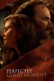 Perfectly Good Moment 2023 on netflix