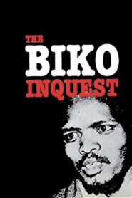 The Biko Inquest 1984 on netflix