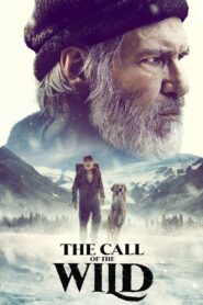 The Call of the Wild 2020 on netflix