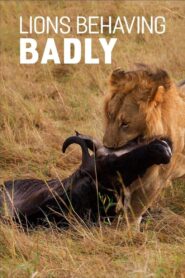 Lions Behaving Badly 2005 on netflix
