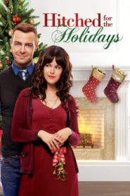 Hitched for the Holidays 2012 on netflix
